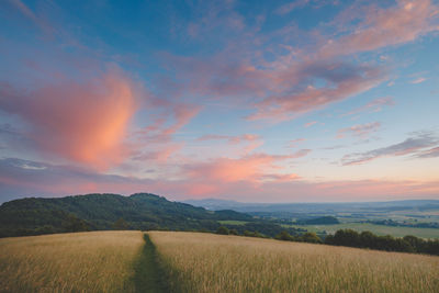 landscape