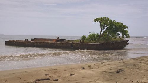 Scenic view of beach against sky