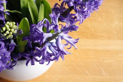 Close-up of purple flowers