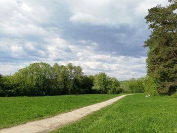 Scenic view of trees on field against sky