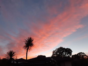 Low angle view of silhouette palm trees against dramatic sky