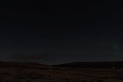 Low angle view of field against sky at night