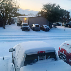 Snow covered cars on street in city during winter