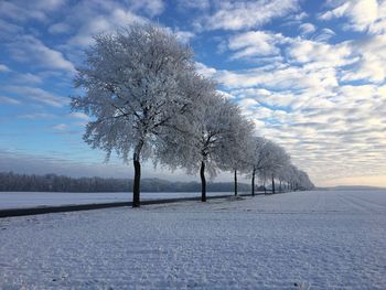 Tree on snow covered landscape against sky