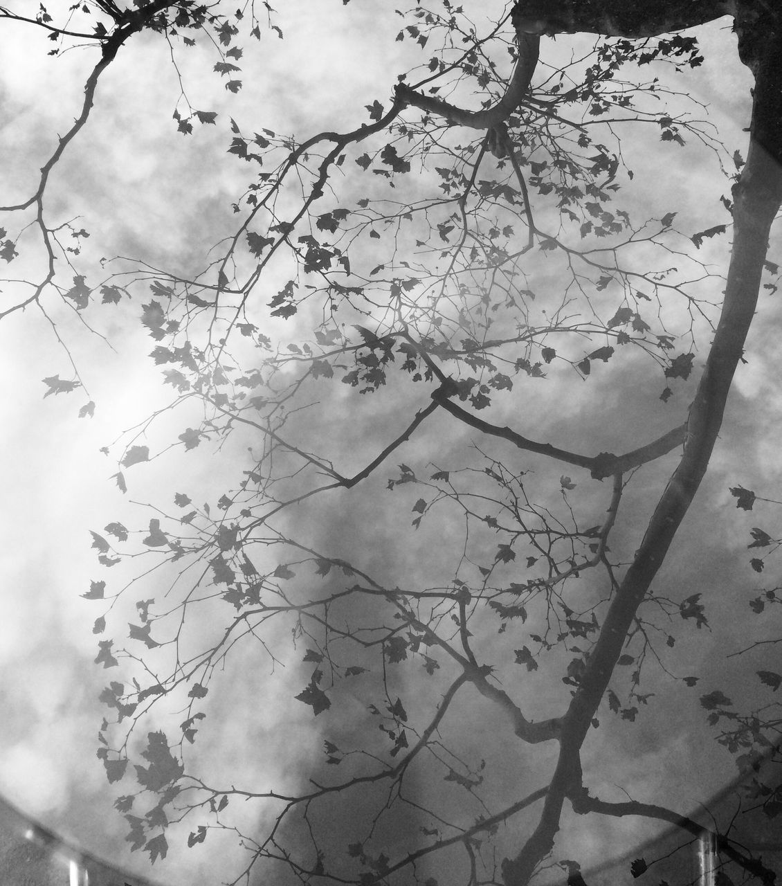 CLOSE-UP OF SKY SEEN THROUGH GLASS