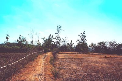 Road passing through field