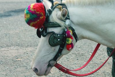 Wagon horse