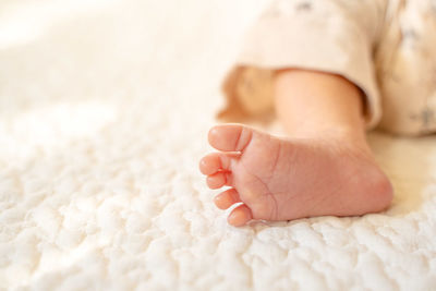 Low section of baby feet
