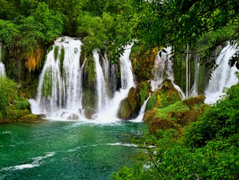 Scenic view of waterfall in forest