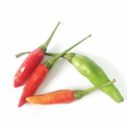 Close-up of chili pepper against white background