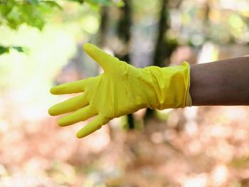 Close-up of hand holding yellow leaves