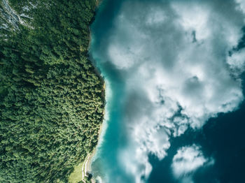 Aerial view of forest by lake with reflection