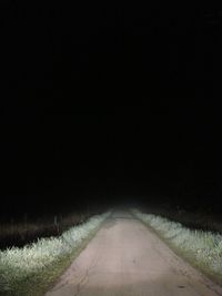 Empty road along trees