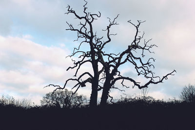 Silhouette of bare tree against cloudy sky