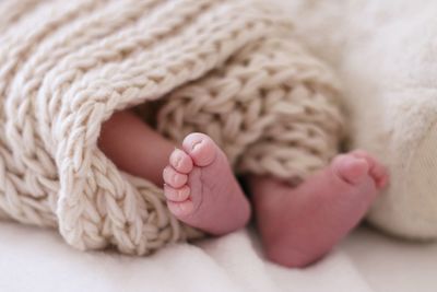 Low section of baby lying on bed