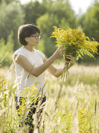 Woman is picking solidago, commonly called goldenrods, on autumn field. florist at work. 