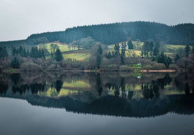 Scenic view of lake by trees against sky