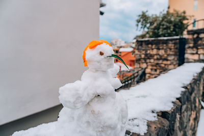 Close-up of a bird on snow