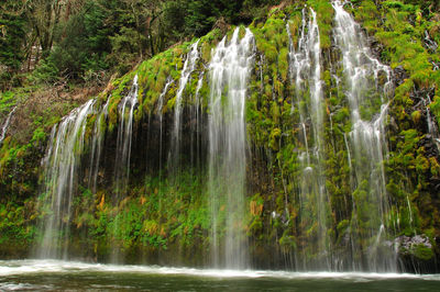 Water falling from rocks in forest