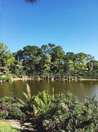 Scenic view of lake against clear sky