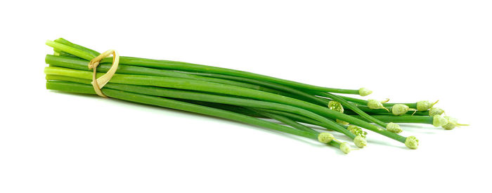 Close-up of leaf over white background