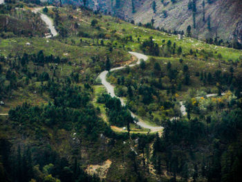 High angle view of trees on landscape