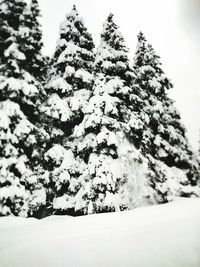 Scenic view of snow covered landscape