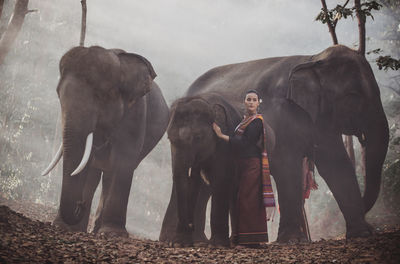 Young woman standing with elephant in forest