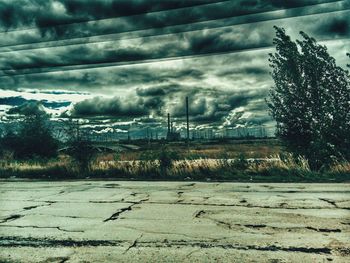 Storm clouds over trees