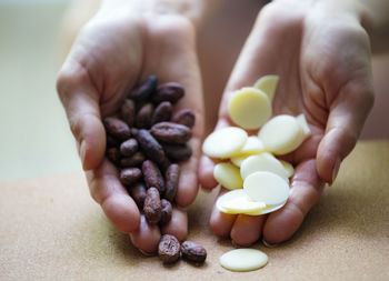 Close-up of hand holding vegetables