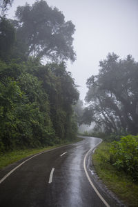 Country road amidst trees against sky