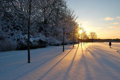 Snow covered trees against sky