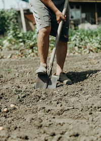 Portrait of a man digging potatoes in a vegetable garden.