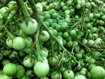 Full frame shot of green fruits