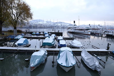 Boats moored at harbor during winter