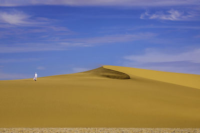 Scenic view of desert against sky