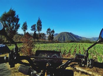 Scenic view of landscape against clear blue sky