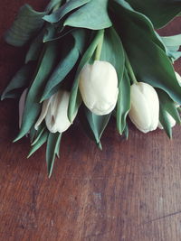 High angle view of white tulips on table