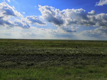 Scenic view of field against sky