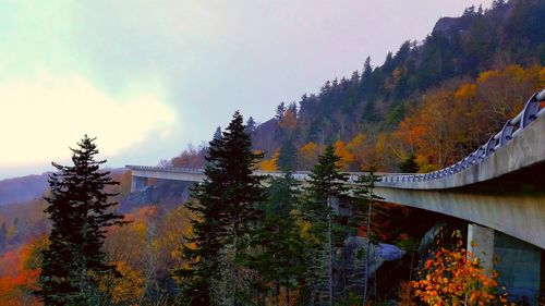 Trees by mountain against sky during autumn