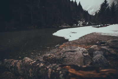 Scenic view of rocks in forest during winter