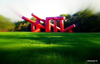 Trees on grassy field