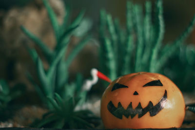 Close-up of pumpkin against blurred background