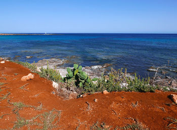Scenic view of sea against clear sky