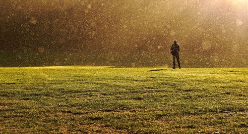 Silhouette of man standing on tree