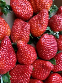 Full frame shot of strawberries