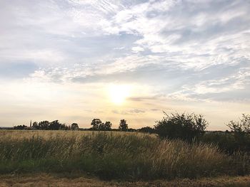 Scenic view of field against sky during sunset