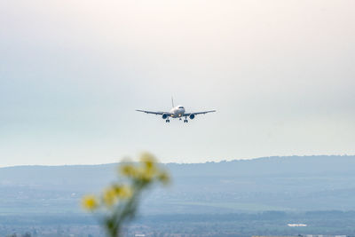 Airplane flying against sky