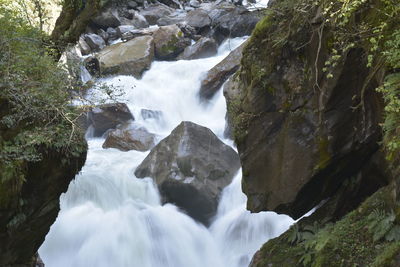 Scenic view of waterfall in forest