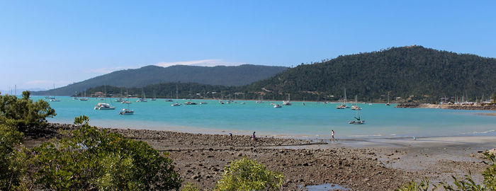 Scenic view of beach against clear blue sky